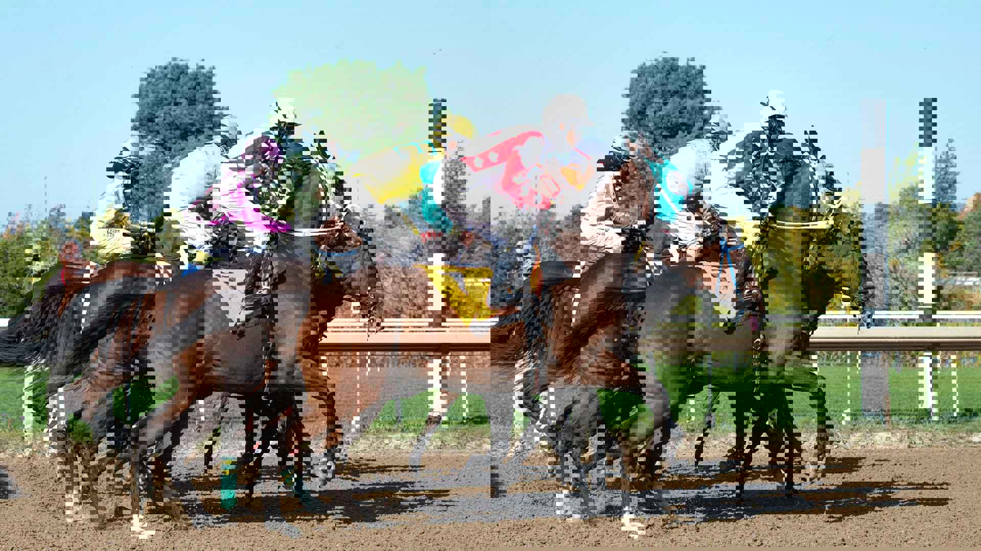 Pexels Coldbeer 277046249 14091613