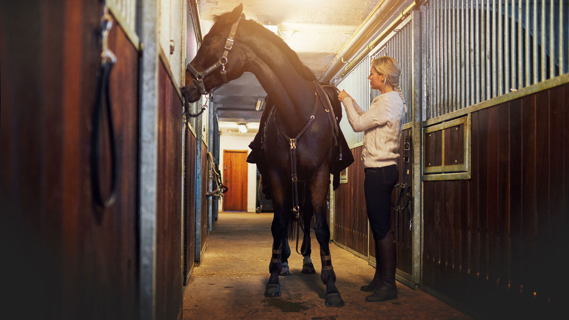 Adobestock 205515571