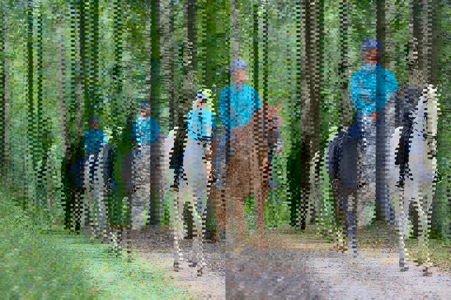 The Freelancer’S Guide Are You Actually Covered When You Step Onto Someone Else’S Yard