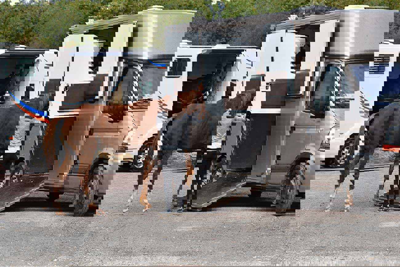 Horse Lorry Insurance In Ireland Everything You Need To Know.Png