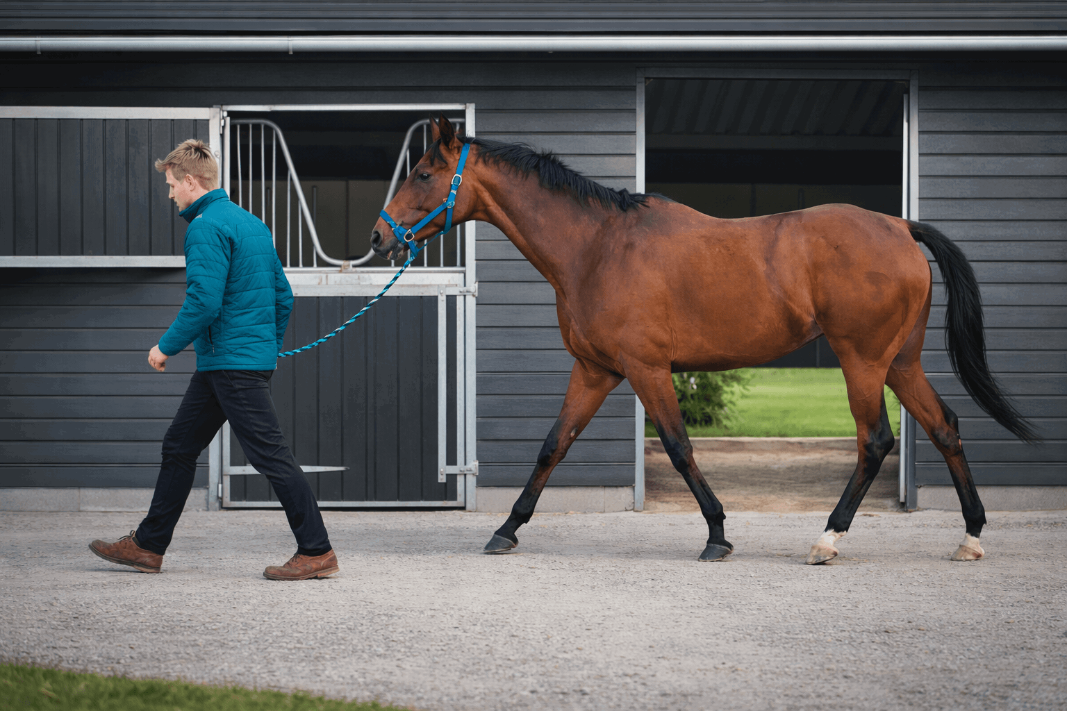 Equine Blog Image Race Horse And Trainer (1)