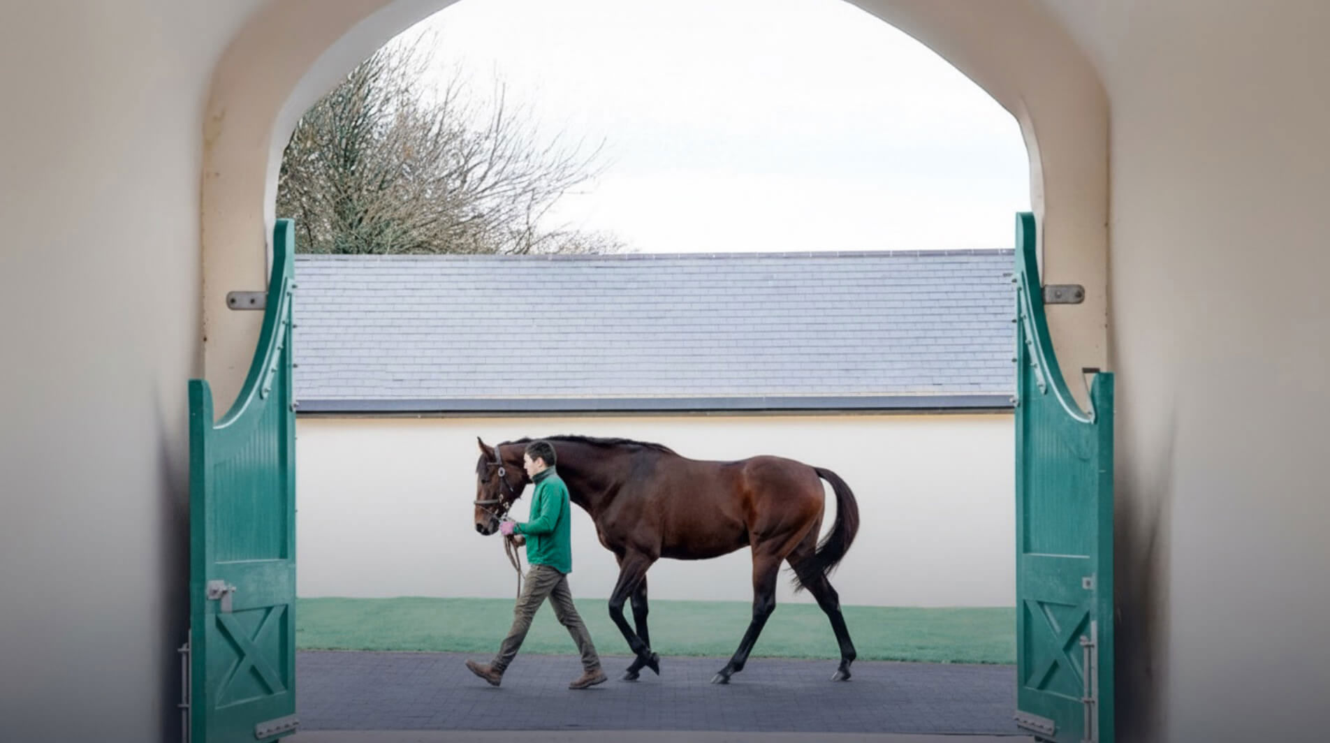 Trainer Leads Out A Stallion From Irish Stables