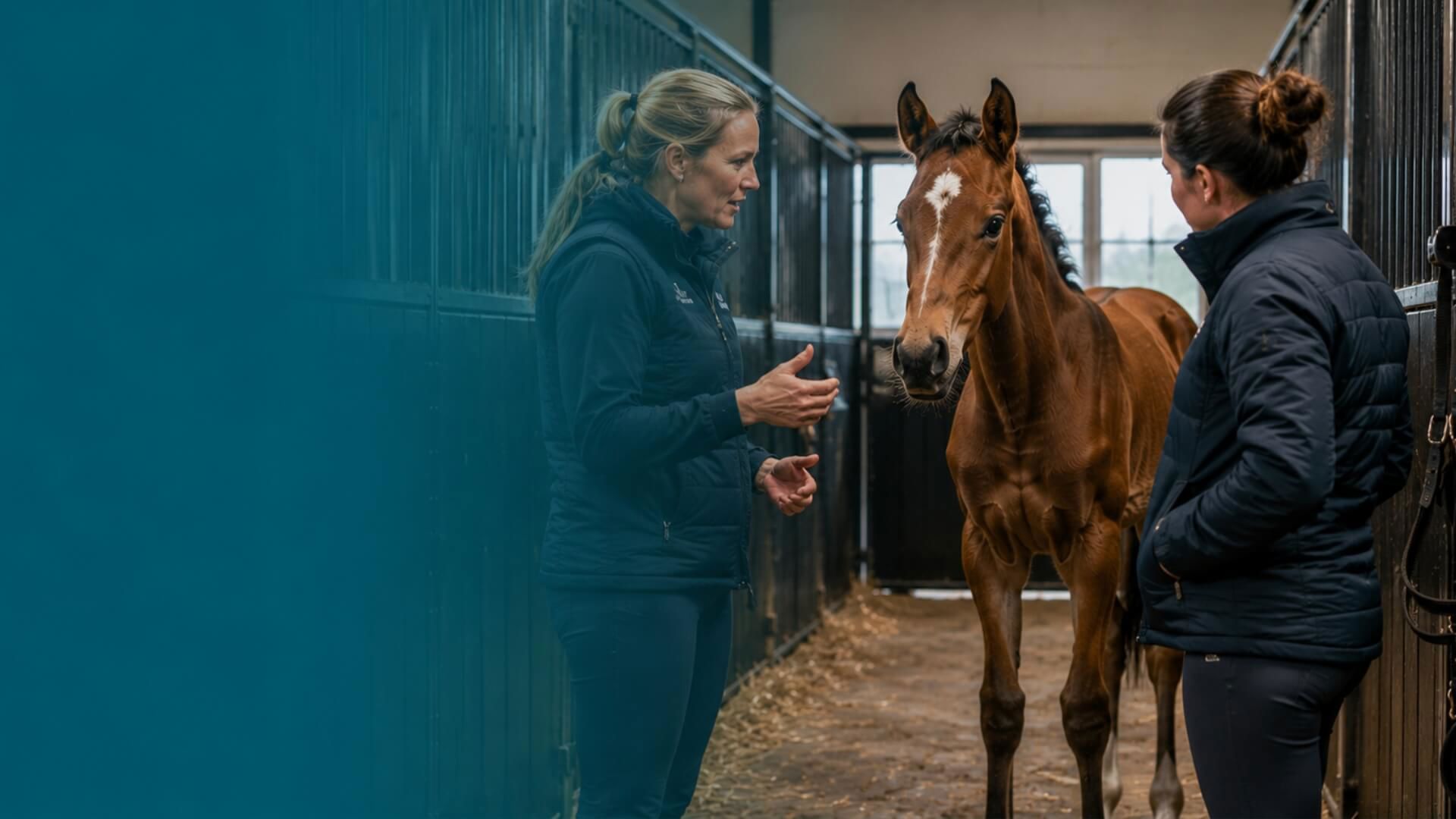 Young Horse In A Stable With Trainer And An Owner (1)