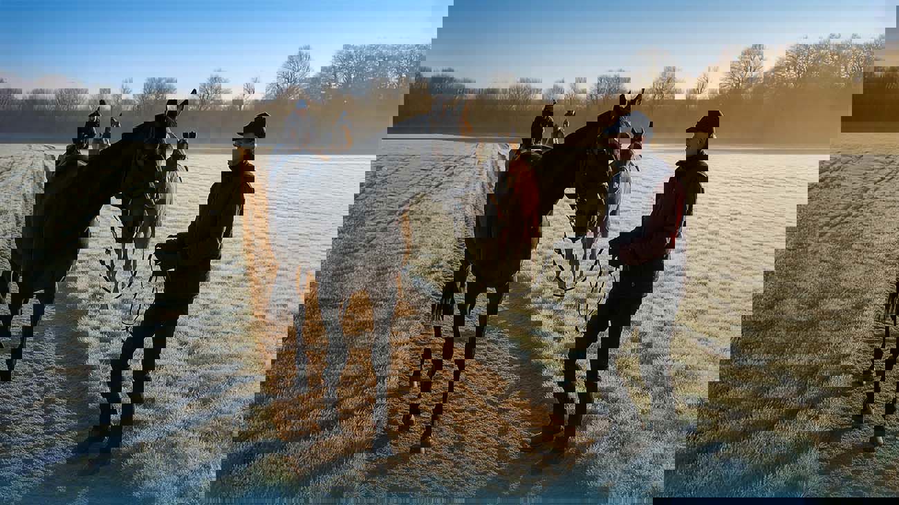 Understanding The Most Common Bloodstock Insurance Claims.Png