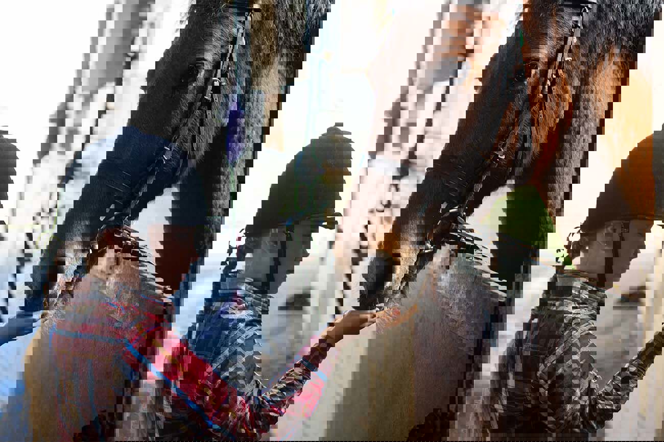 Equine Under Insurance. How Is A Horse’S Value Assessed And What Happens If The Insured Value Is Too Low .Png